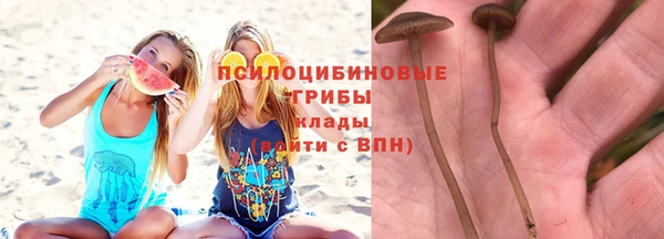 винт Алзамай