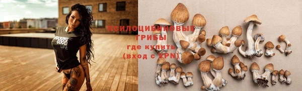 винт Алзамай
