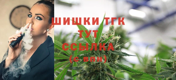 тгк Алексин